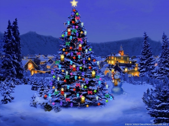 Merry Christmas & Seasonal Greetings